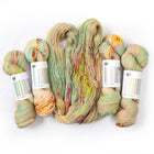 Potluck 2220, Sock Yarn
