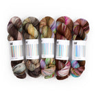 Fade Set 3101, Sock Yarn (5 skeins)