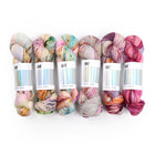 Fade Set 3102, Sock Yarn (6 skeins)