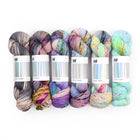 Fade Set 3104, Sock Yarn (6 skeins)