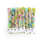 Potluck 3401, Sock Minis