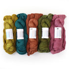 Colour Set 3402, Sock Yarn (5 skeins)