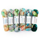 Fade Set 4301, Sock Yarn (6 skeins)