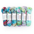 Fade Set 4303, Sock Yarn (6 skeins)