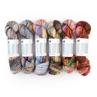 Fade Set 4304, Sock Yarn (6 skeins)