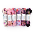 Fade Set 4319, Sock Yarn (6 skeins)