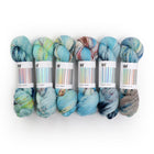 Fade Set 4601, Sock Yarn (6 skeins)