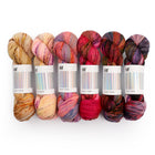 Fade Set 4910, Sock Yarn (6 skeins)
