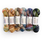 Fade Set 4918, Sock Yarn (6 skeins)