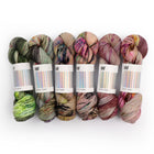 Fade Set 4919, Sock Yarn (6 skeins)