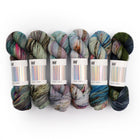 Fade Set 4920, Sock Yarn (6 skeins)