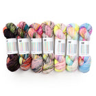 Fade Set 5004, Sock Yarn (7 skeins)