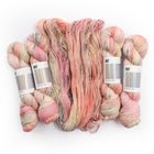 Ballet Slipper, Custom Dye Order