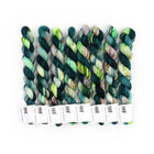 Brine, Sock Minis