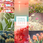Coral Sunrise Fade Club