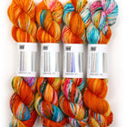 Guppy, Merino DK