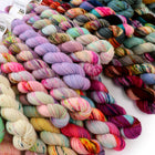 Sock Minis - 30 Skein Set