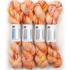 Monarch, Merino DK