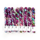Orchid, Sock Minis