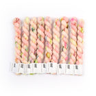Peony, Sock Minis