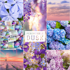 Periwinkle Dusk Club