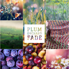 Plum Orchard Fade Club